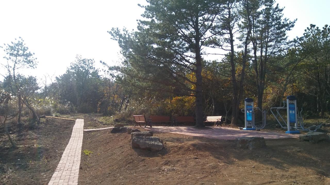 Jeju Youth Hostel Εξωτερικό φωτογραφία