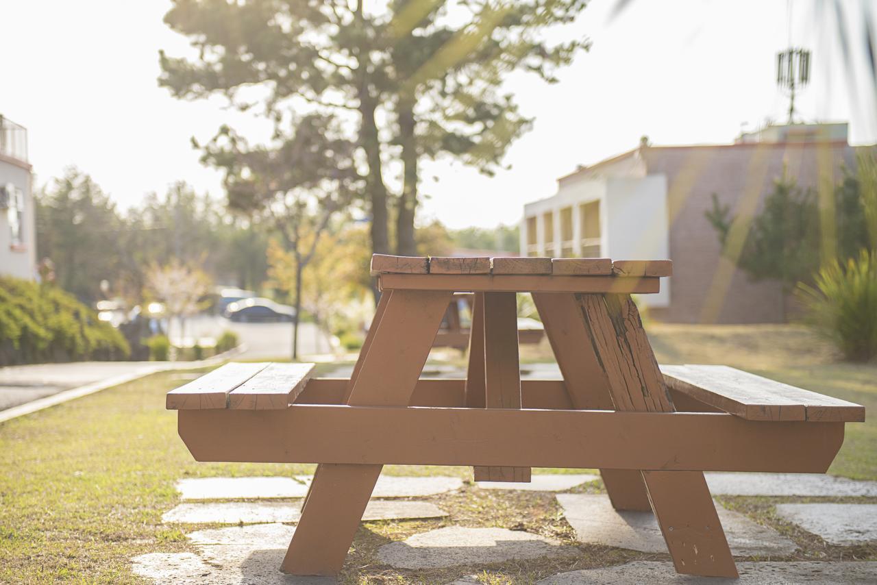 Jeju Youth Hostel Εξωτερικό φωτογραφία