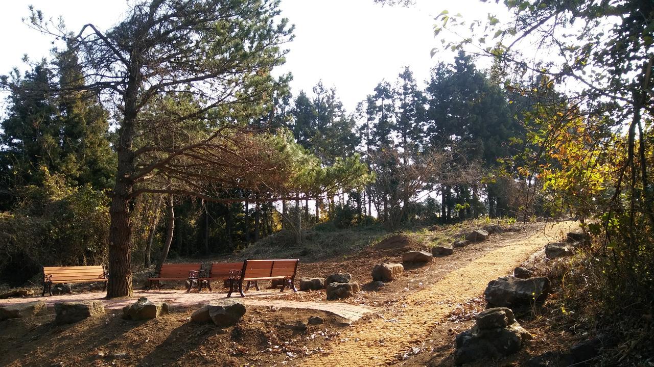 Jeju Youth Hostel Εξωτερικό φωτογραφία