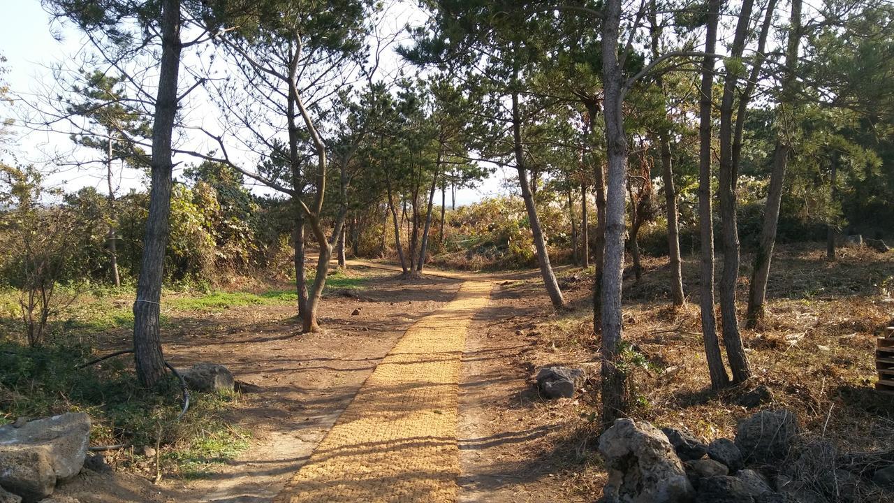 Jeju Youth Hostel Εξωτερικό φωτογραφία